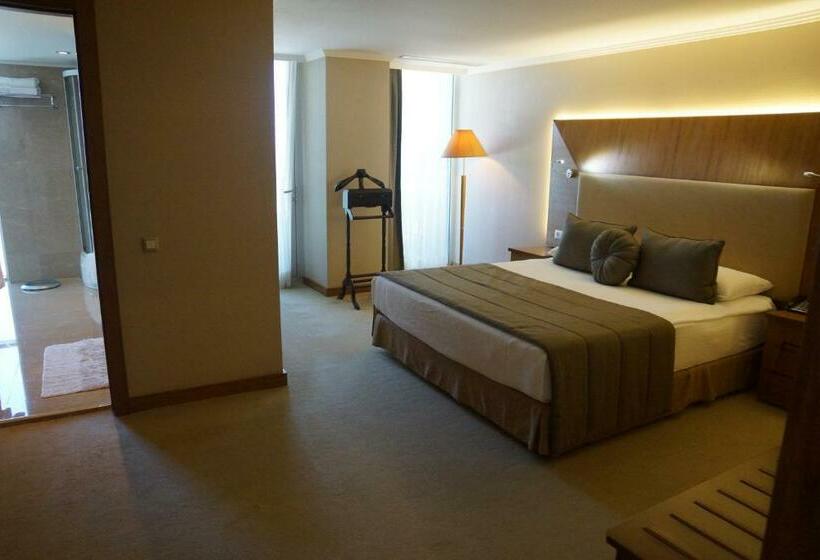 Президентский Люкс, Ilica Hotel Spa & Wellness Resort