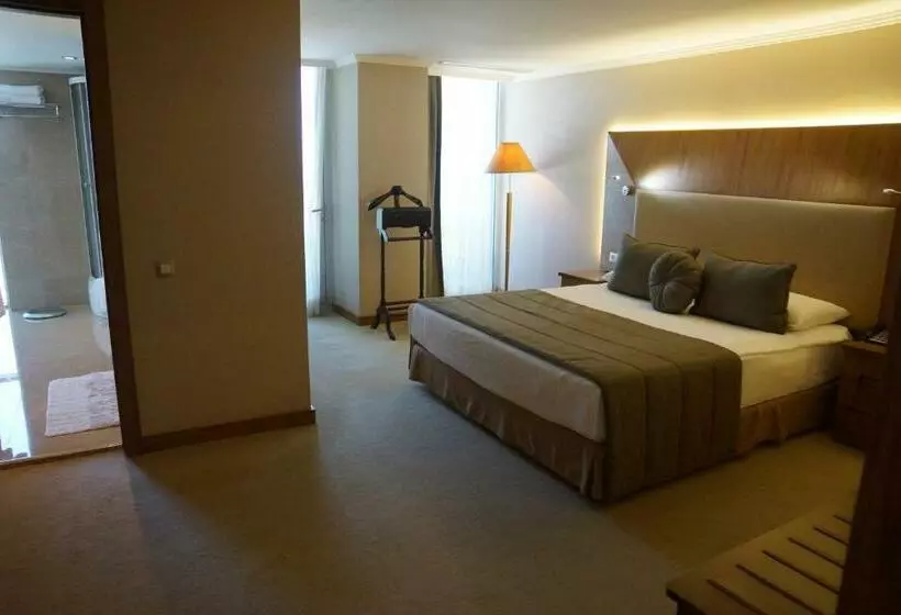 エクゼクティブスイート, Ilica Hotel Spa & Wellness Resort