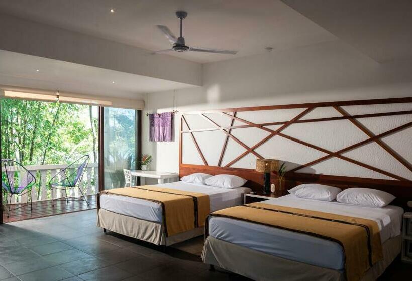 اتاق استاندارد, Maya Internacional