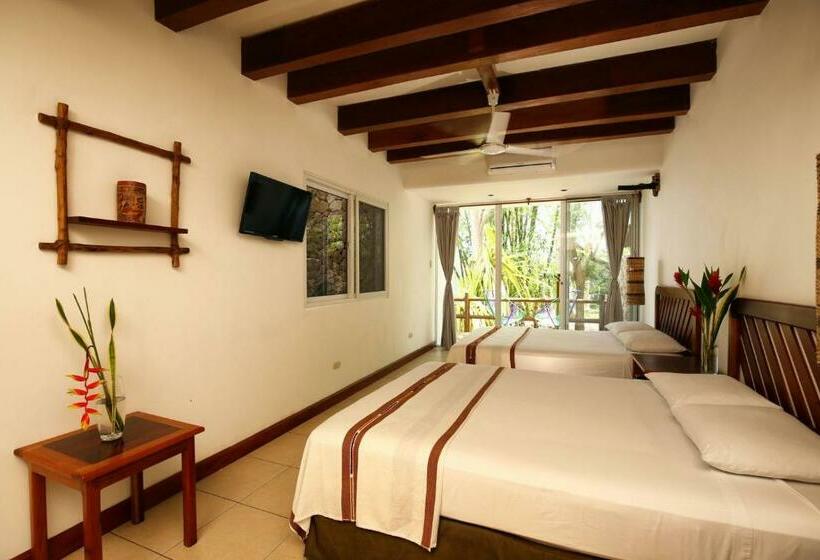 اتاق استاندارد, Maya Internacional