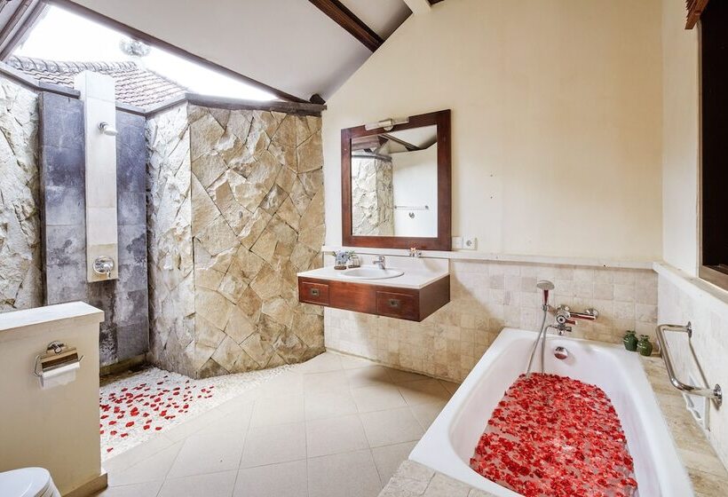 חדר דלוקס נוף לגינה, Puri Bagus Candidasa