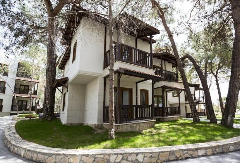 بانگلوی استاندارد, Voyage Sorgun