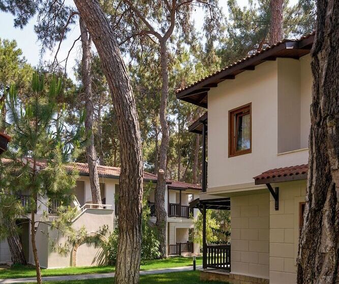 بانگلوی استاندارد, Voyage Sorgun