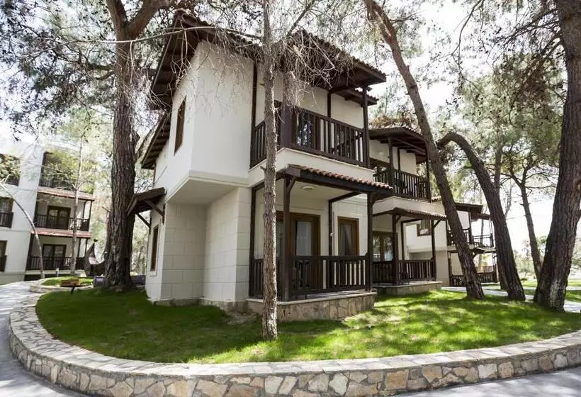 بانگلوی استاندارد, Voyage Sorgun