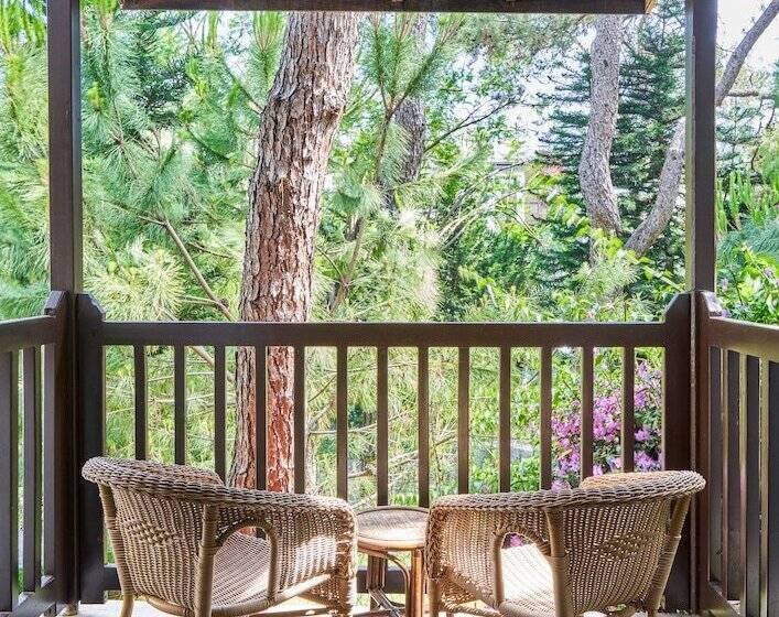 بانگلوی استاندارد, Voyage Sorgun