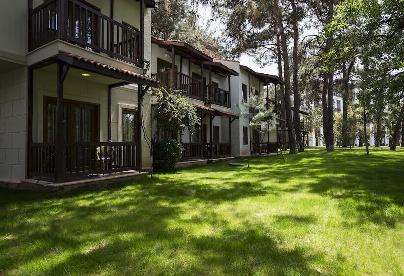 بانگلوی استاندارد, Voyage Sorgun