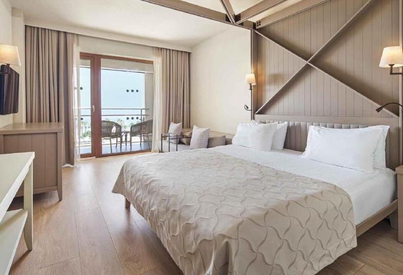 اتاق استاندارد, Voyage Sorgun