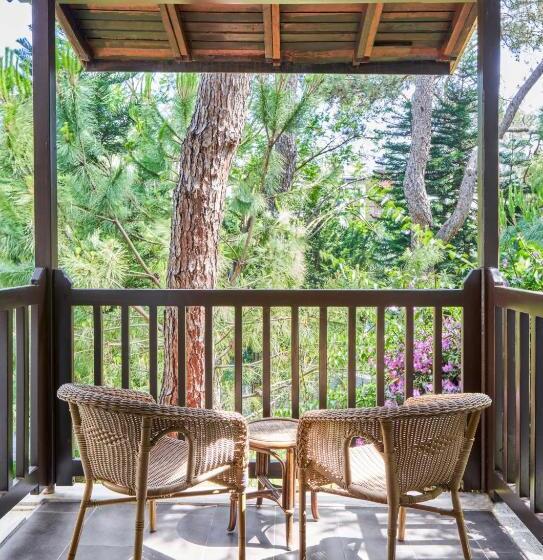 بانگلوی استاندارد, Voyage Sorgun