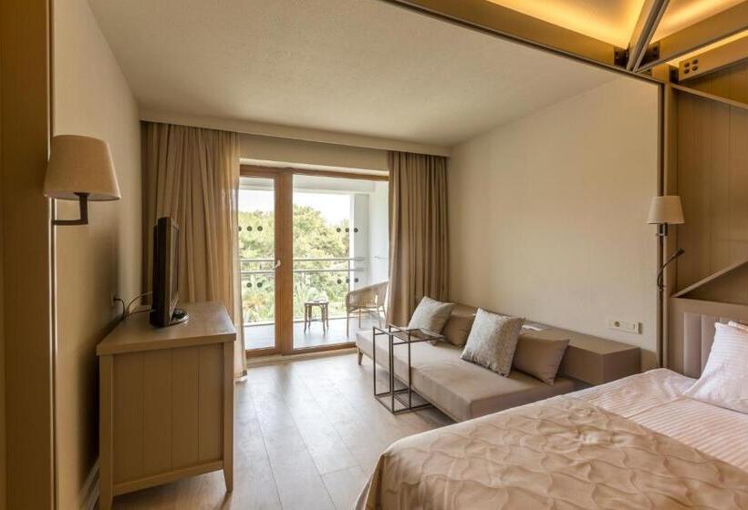 اتاق استاندارد سه نفره, Voyage Sorgun