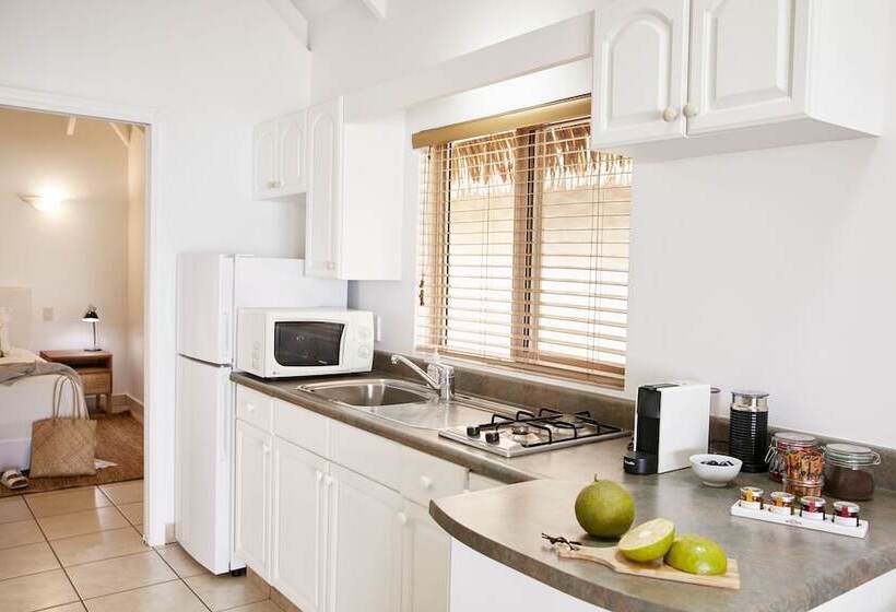 ویلای 1 خوابه, Motu Beachfront Art Villas