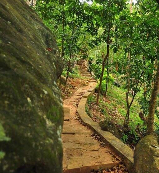 Deluxe Rum, Spring Villas Kandy