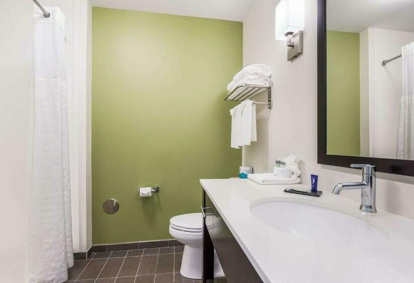 חדר סטנדרט עם מיטת קינג, Best Western Park City Wichita North