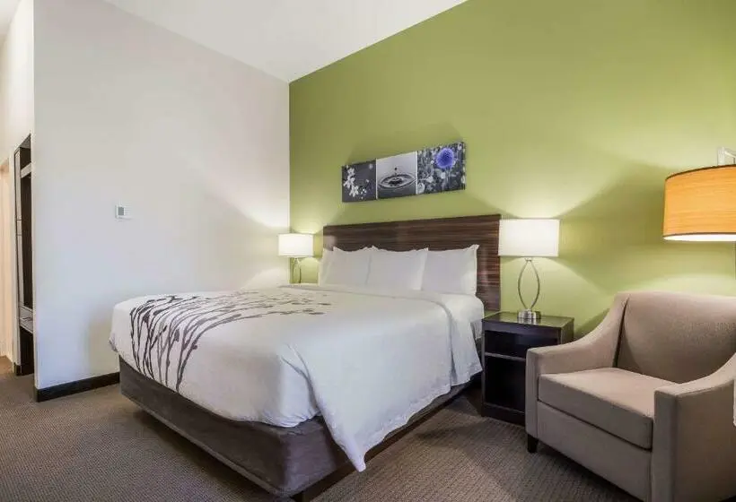 キングサイズベッドのスタンダードルーム, Best Western Park City Wichita North