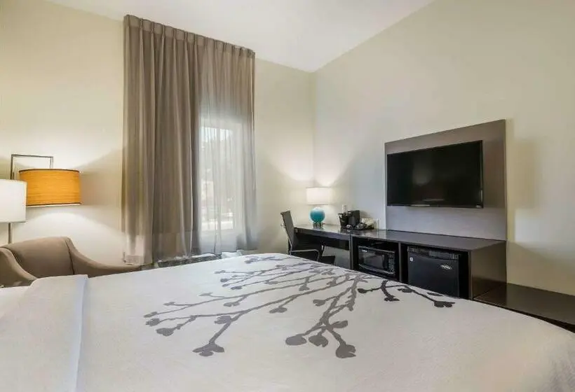 キングサイズベッドのスタンダードルーム, Best Western Park City Wichita North