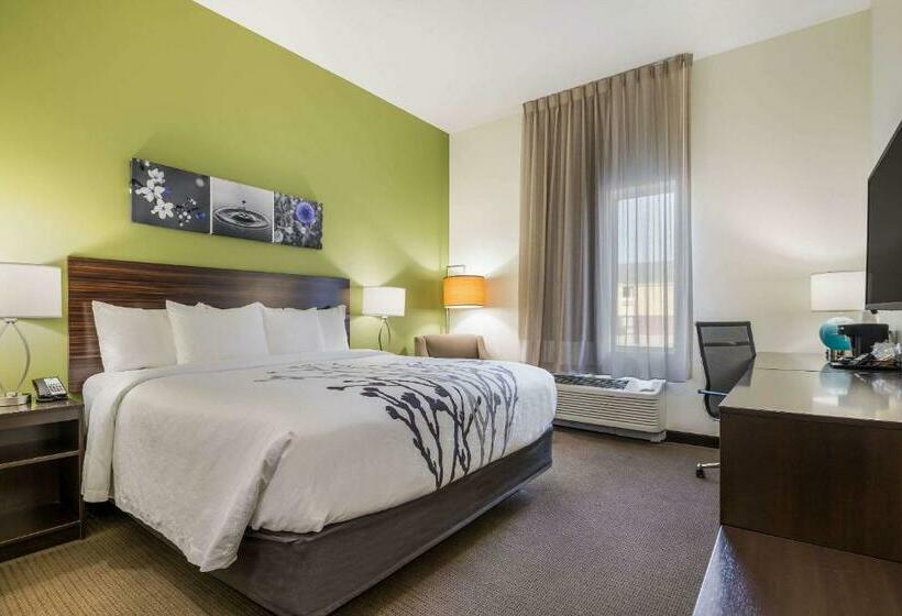 חדר סטנדרט עם מיטת קינג, Best Western Park City Wichita North