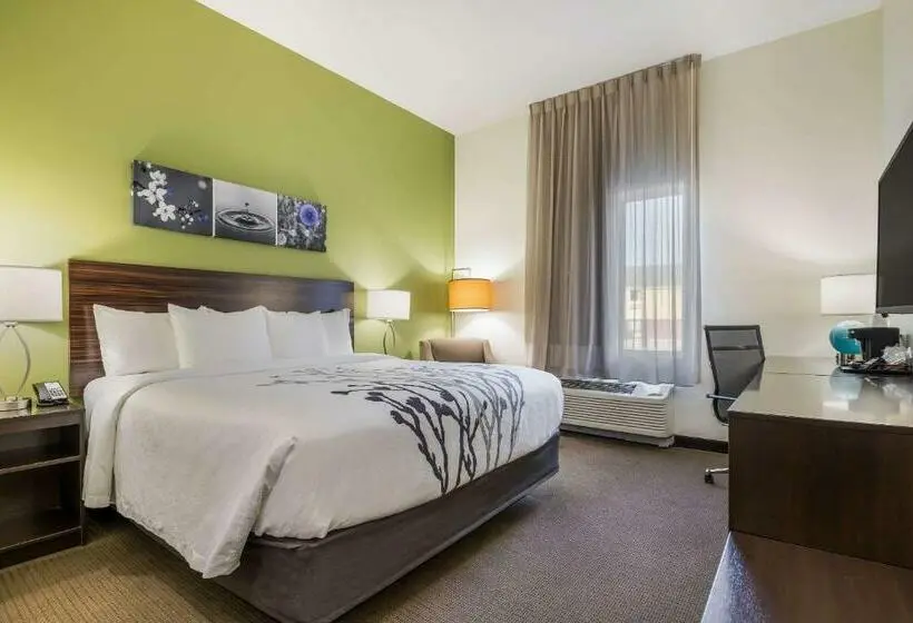 キングサイズベッドのスタンダードルーム, Best Western Park City Wichita North