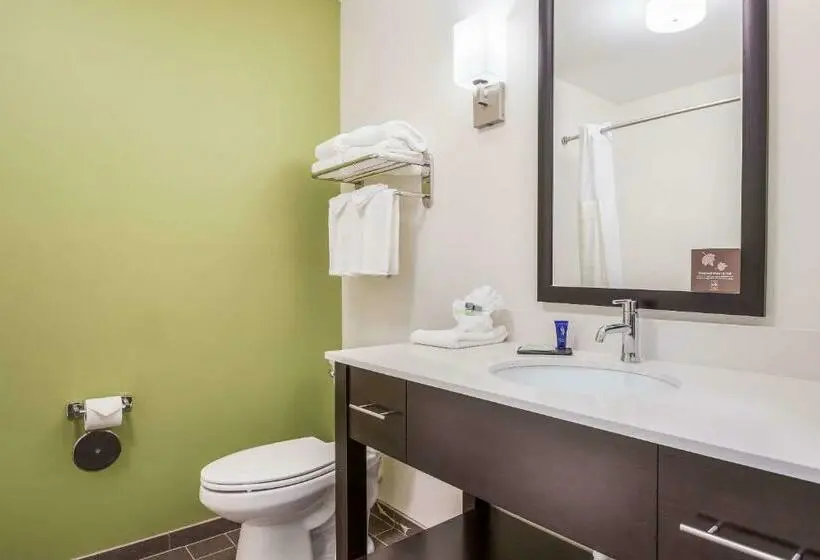 ２ダブルベッドのスタンダードルーム, Best Western Park City Wichita North