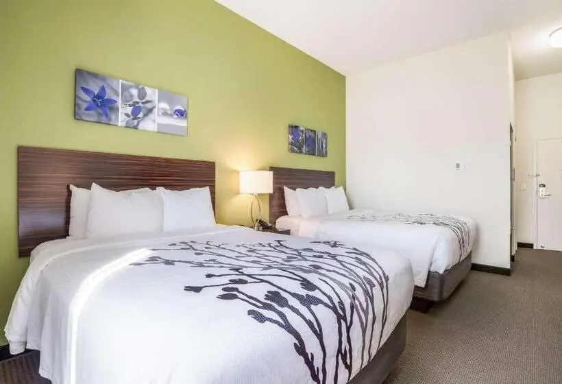 ２ダブルベッドのスタンダードルーム, Best Western Park City Wichita North