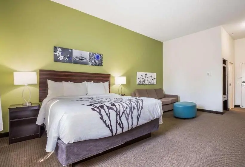 キングサイズベッドのスイートルーム, Best Western Park City Wichita North