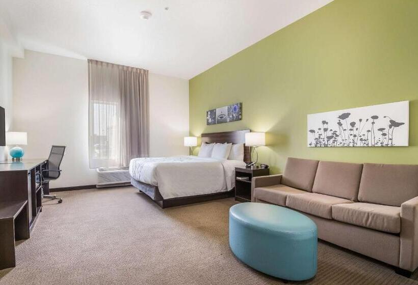 מיטת קינג בסוויטה, Best Western Park City Wichita North