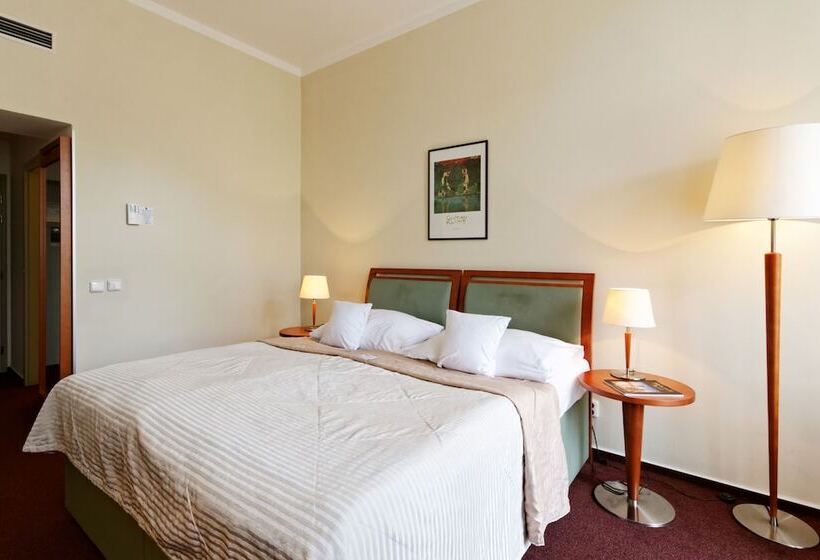 Standard Yhden Hengen Huone, Clarion Hotel Prague Old Town