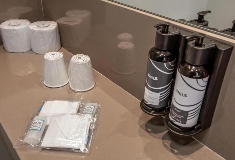 اتاق استاندارد با تخت بزرگ, Innside By Meliá Sao Paulo Itaim