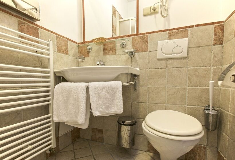 اتاق استاندارد یک نفره, Tivoli Prague