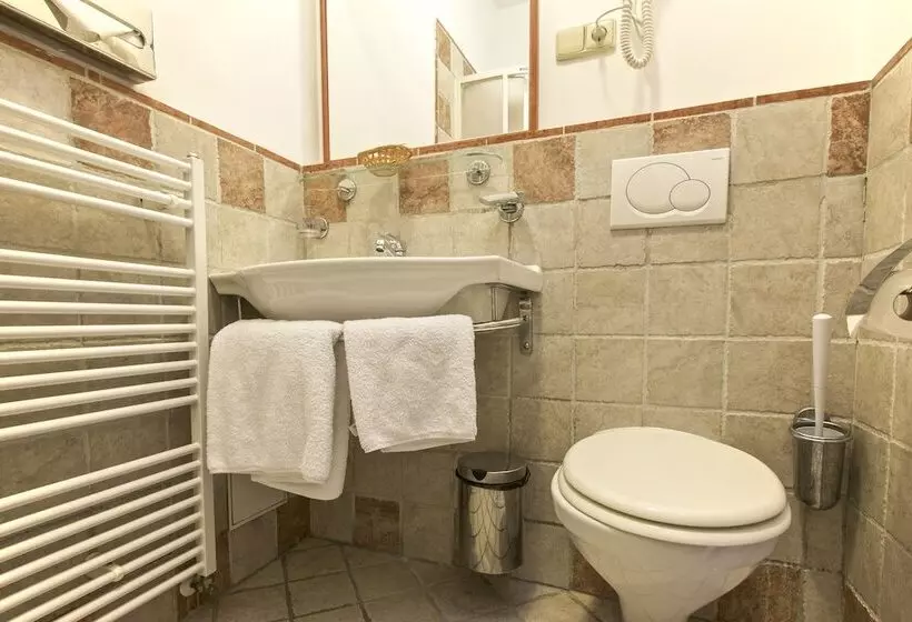 اتاق استاندارد یک نفره, Tivoli Prague