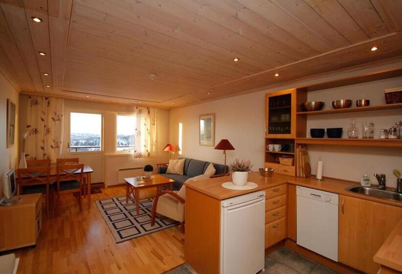 דירת שני חדרים, Rauland Høgfjellshotell