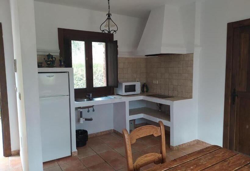 جناح سرير كينج, La Marmita De Ahlam