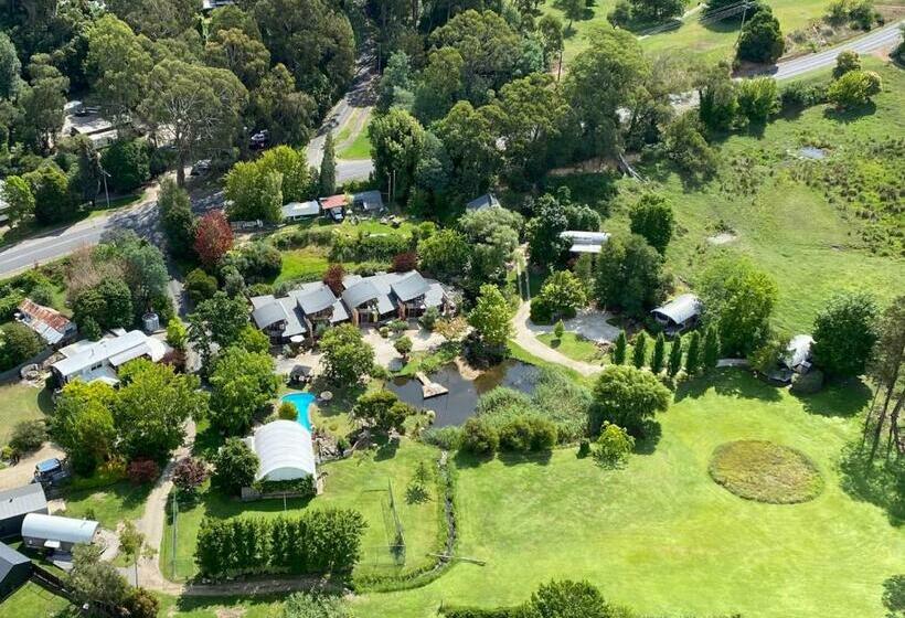 בקתת חדר, Dreamers