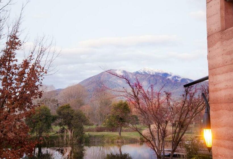בקתת חדר, Dreamers