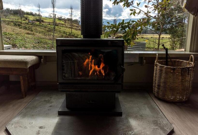 בקתת חדר, Dreamers