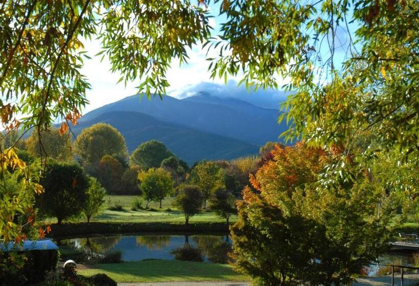 בקתת חדר, Dreamers