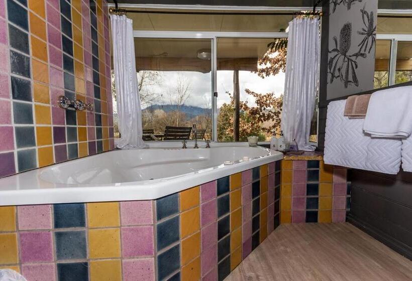 בקתת חדר, Dreamers