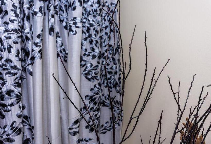 בקתת חדר, Dreamers