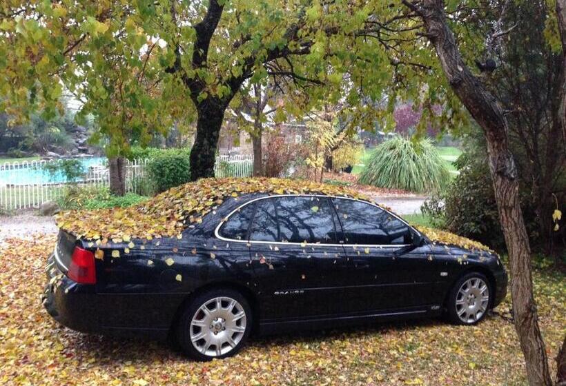 דירה בת חדר שינה 1 עם נוף, Dreamers