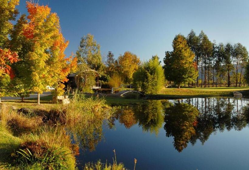 דירה בת חדר שינה 1 עם נוף, Dreamers