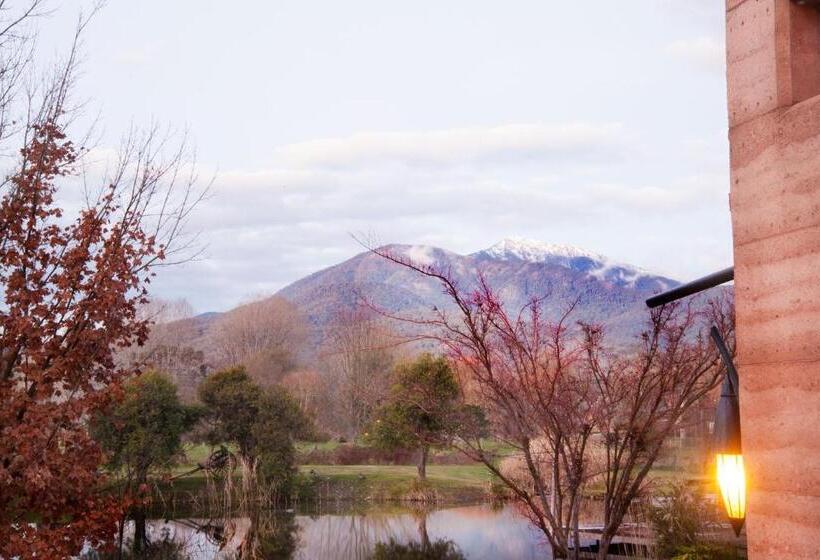 דירה בת חדר שינה 1 עם נוף, Dreamers