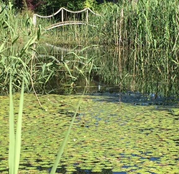 דירה בת חדר שינה 1 עם נוף, Dreamers