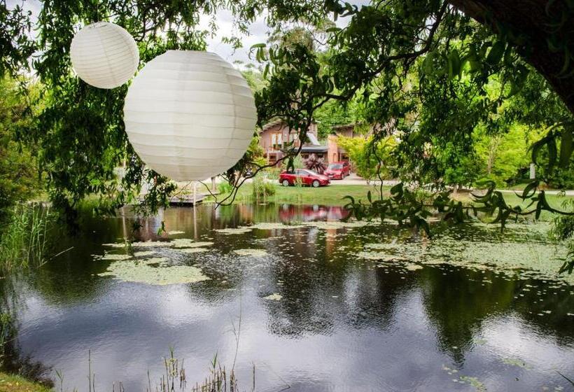 בקתת חדר, Dreamers