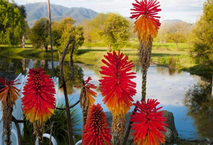 בקתת חדר, Dreamers