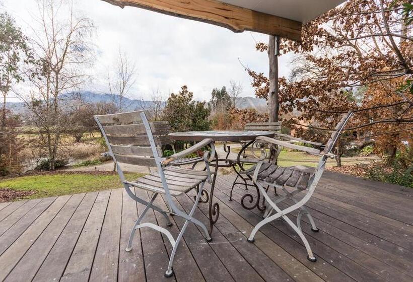 בקתת חדר, Dreamers