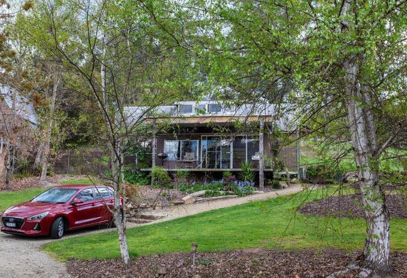 בקתת חדר, Dreamers