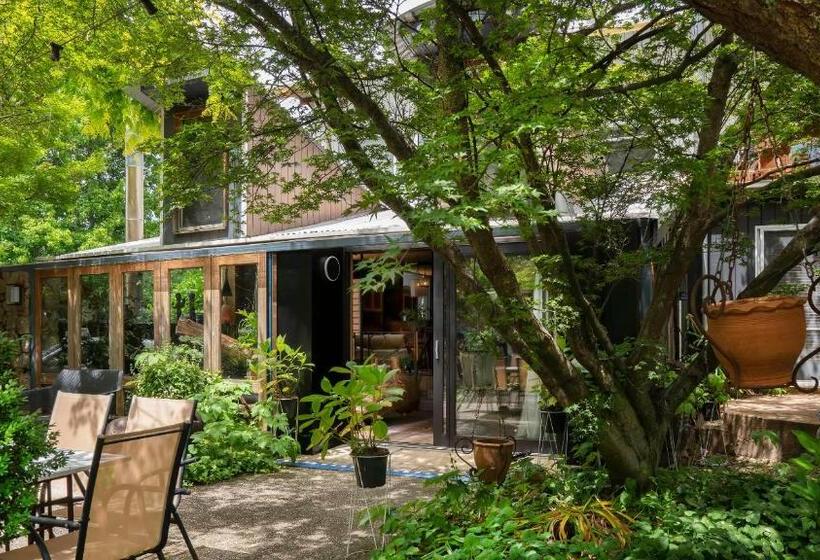 דירה בת חדר שינה 1 עם נוף, Dreamers