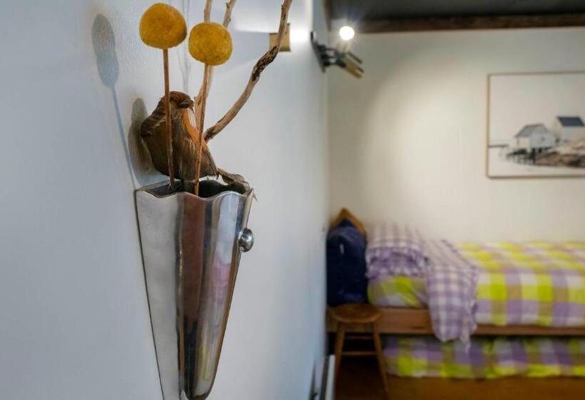 דירה בת חדר שינה 1 עם נוף, Dreamers