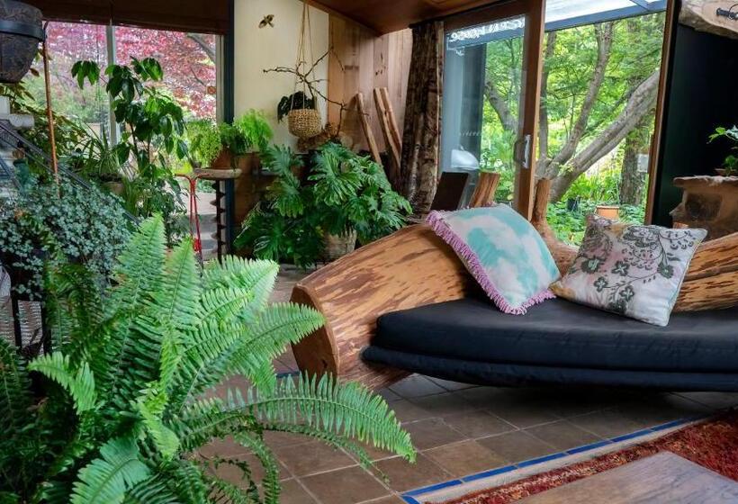 דירה בת חדר שינה 1 עם נוף, Dreamers