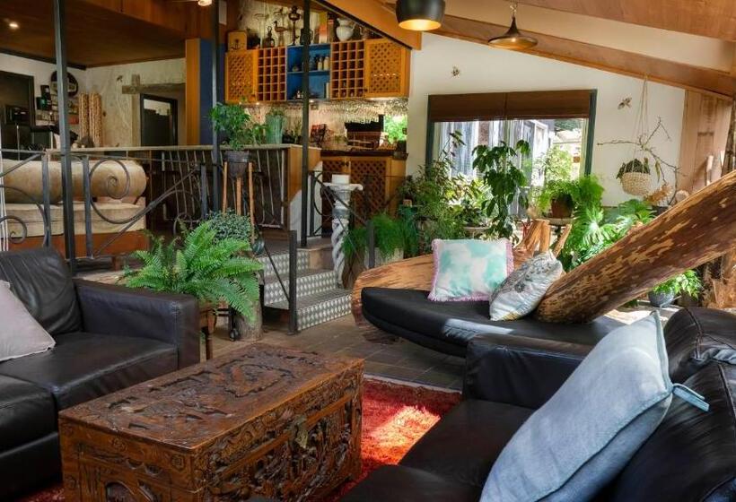 דירה בת חדר שינה 1 עם נוף, Dreamers