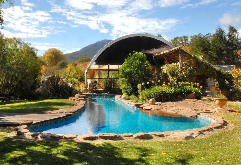 דירת חדר, Dreamers