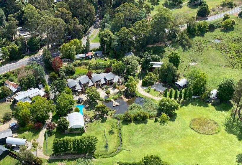 דירת חדר, Dreamers